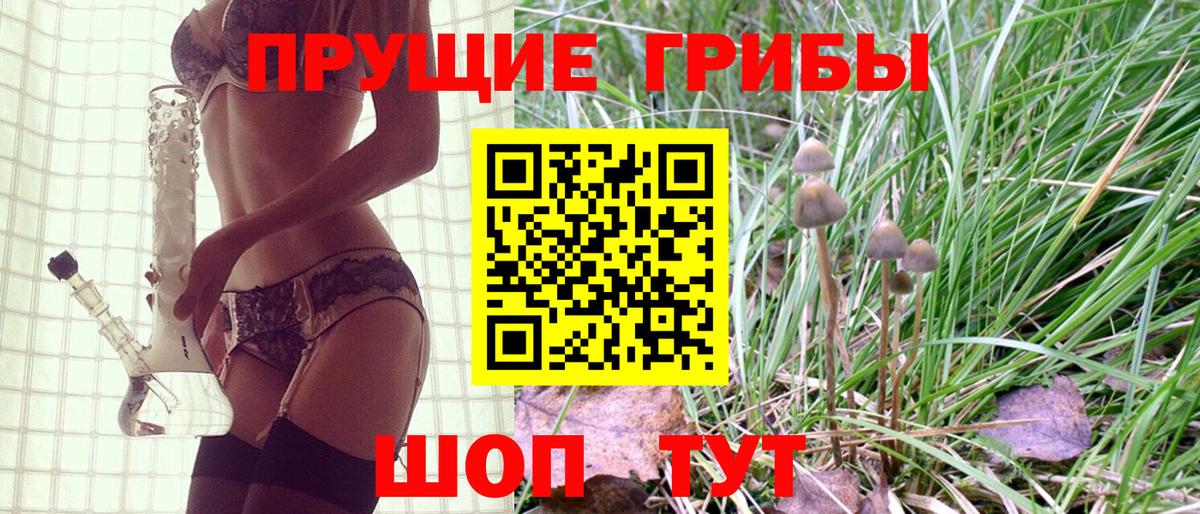 Лесосибирск  Псилоцибиновые грибы ЛСД  Вход с VPN 