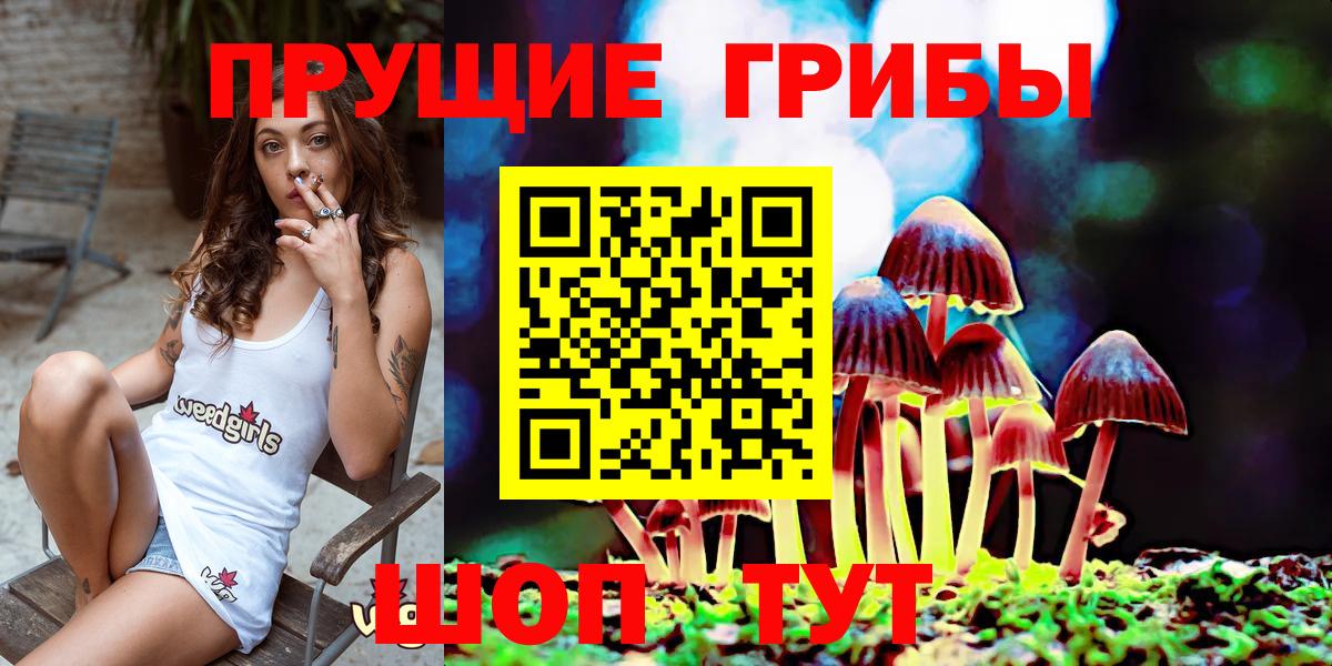 Галлюциногенные грибы мухоморы Лесосибирск